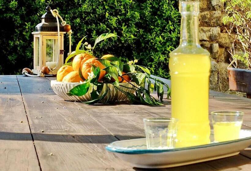 古典房间, B&b Villa Elisa