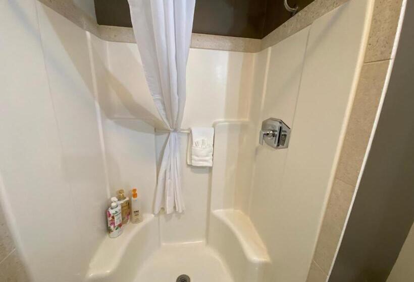 Стандартный Номер Кровать Кинг, Skyridge Inn