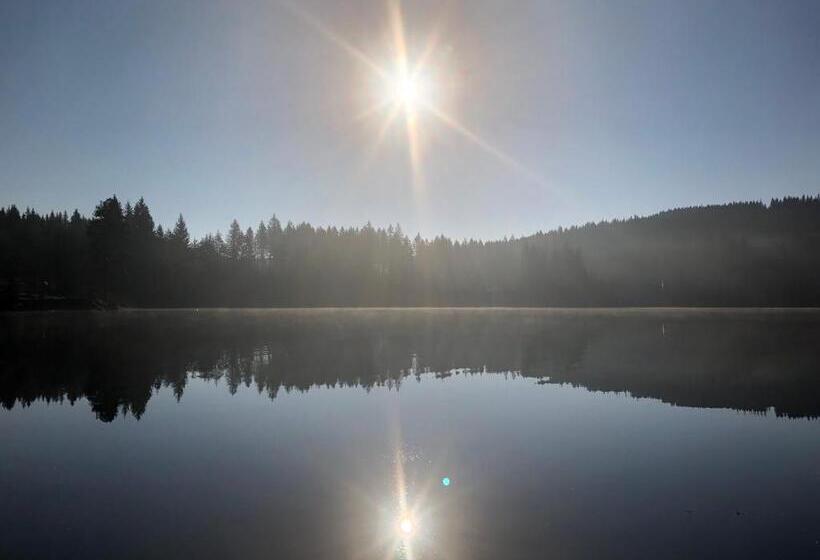 Стандартный Номер Кровать Кинг, Forest Apartment Mountain Escape Menzenschwand