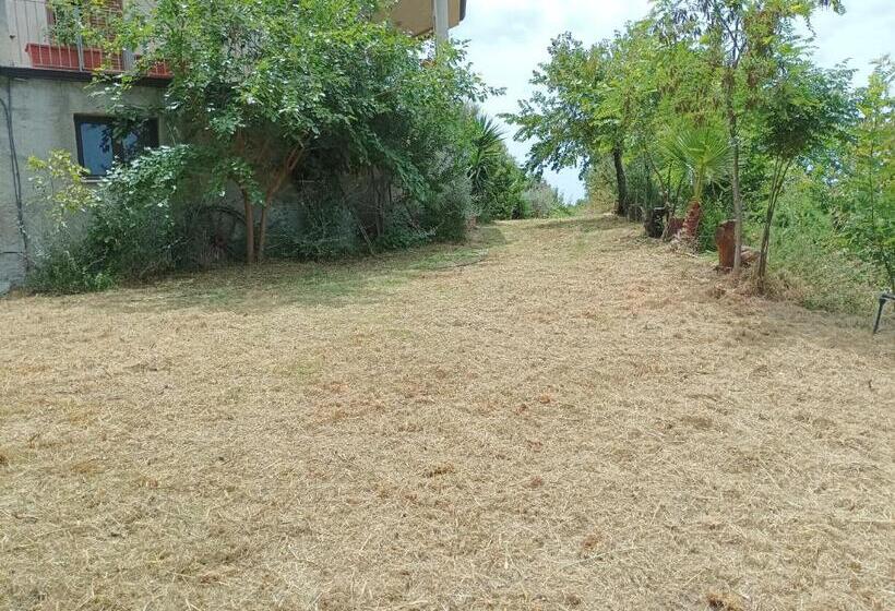 اتاق استاندارد, Palapico