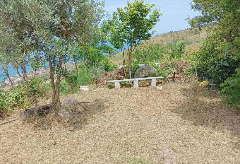 اتاق استاندارد, Palapico