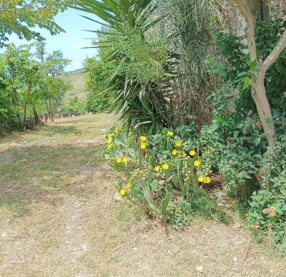 اتاق استاندارد, Palapico