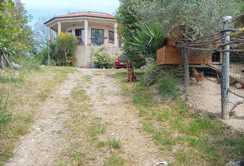 اتاق استاندارد, Palapico