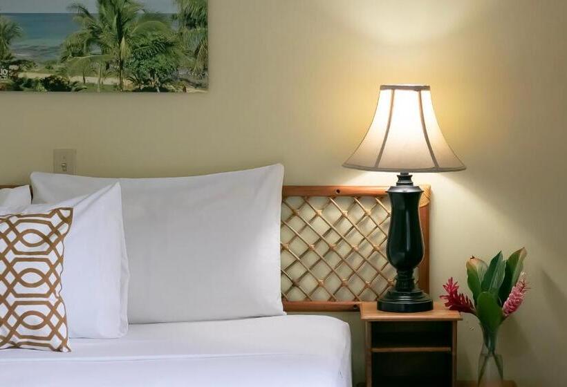 اتاق لوکس با تخت بزرگ, Gran Hotel Bahia
