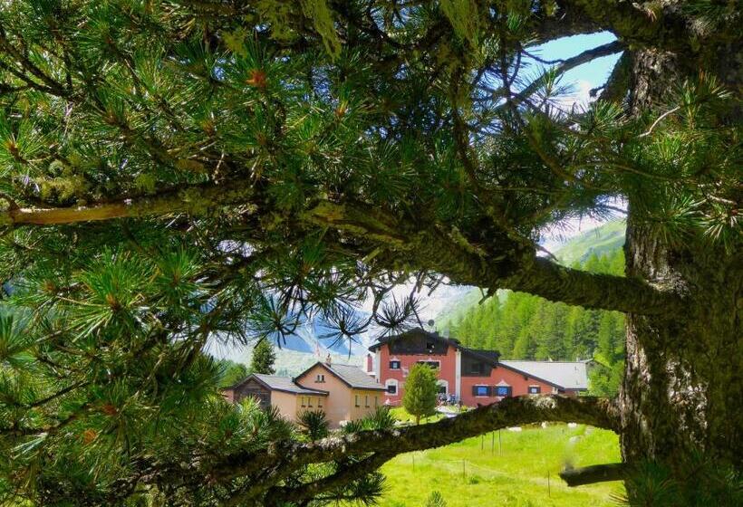 Quarto Estandar, Roseg Gletscher