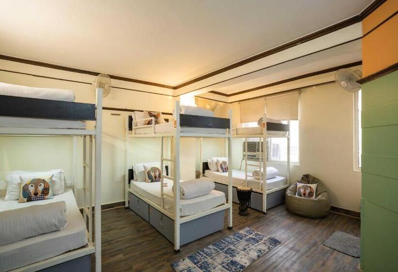 Кровать в Общей Комнате, Zostel Delhi