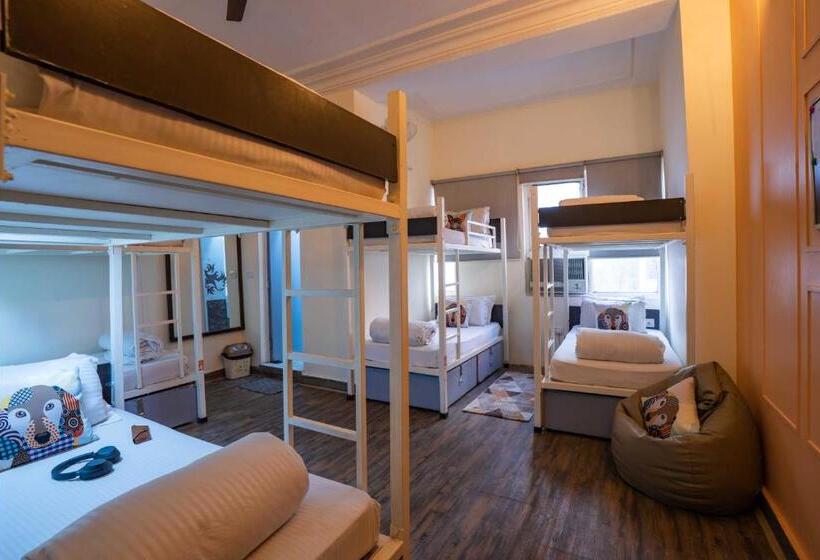 Кровать в Общей Комнате, Zostel Delhi