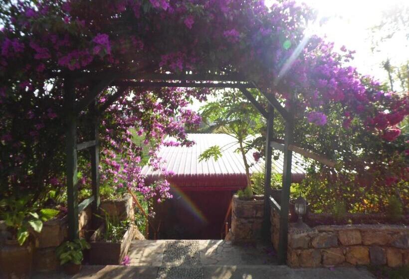 اتاق لوکس, Aythaya Monte Divino Lodge