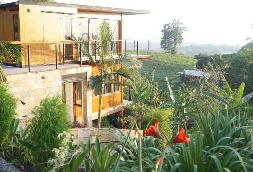 اتاق سوپریور, Aythaya Monte Divino Lodge