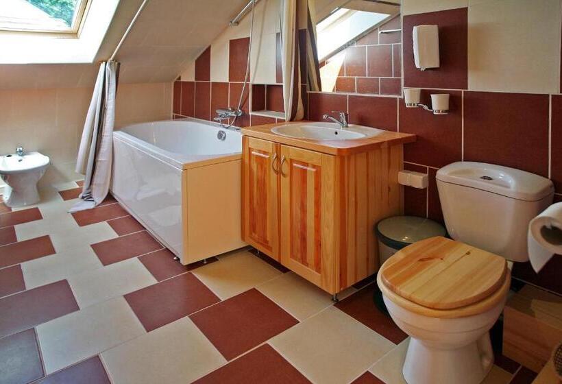 اتاق سوپریور با تخت بزرگ, Smaidas Apartamenti