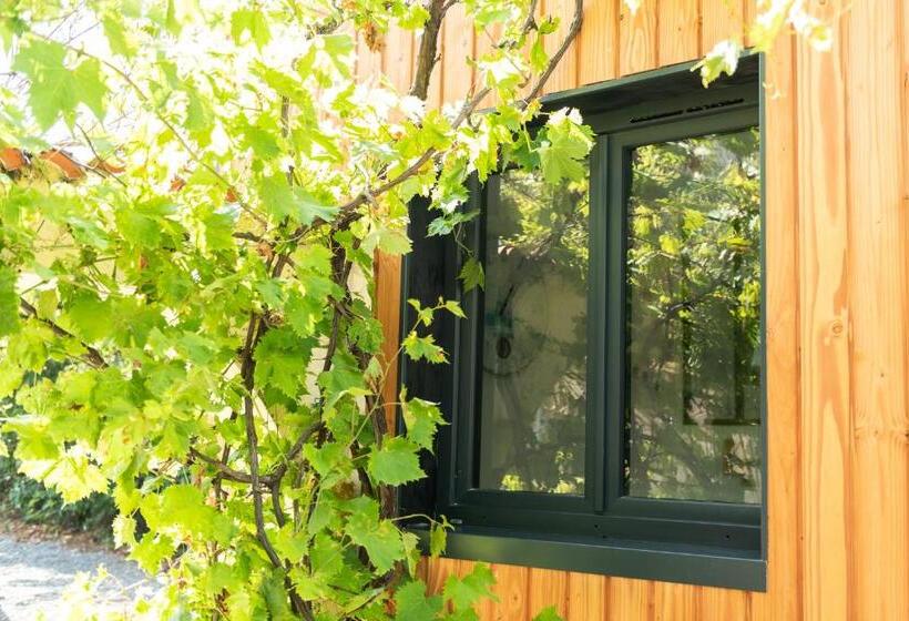 Номер Стандарт с Террасой, La Jolie Longère Fleurie Tiny House Avec Piscine Et Jardin