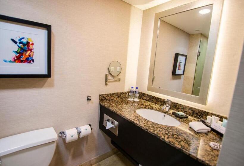 اتاق استاندارد با تخت بزرگ, Lucerna Hermosillo