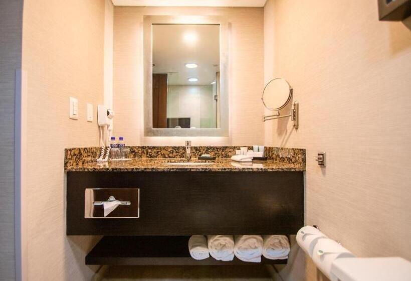 اتاق استاندارد با تخت بزرگ, Lucerna Hermosillo