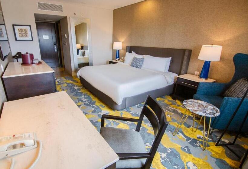 اتاق استاندارد با تخت بزرگ, Lucerna Hermosillo