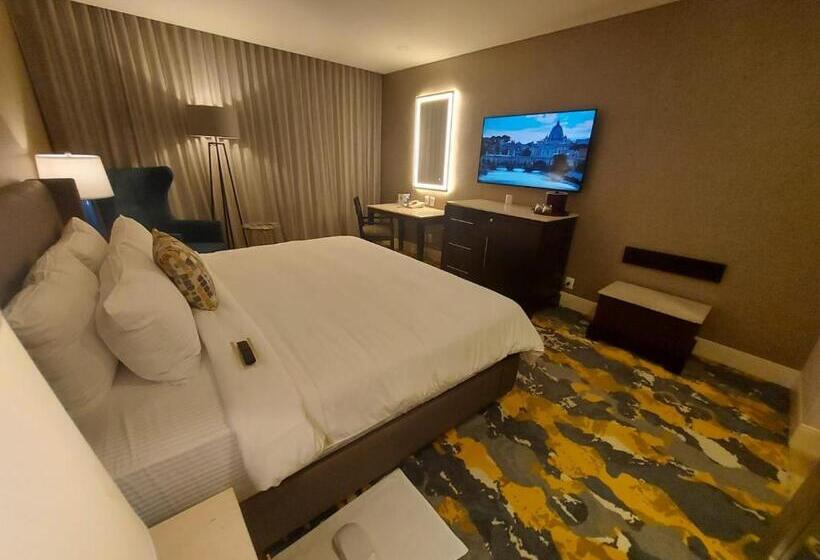 اتاق استاندارد با تخت بزرگ, Lucerna Hermosillo