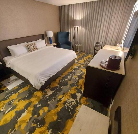 اتاق استاندارد با تخت بزرگ, Lucerna Hermosillo