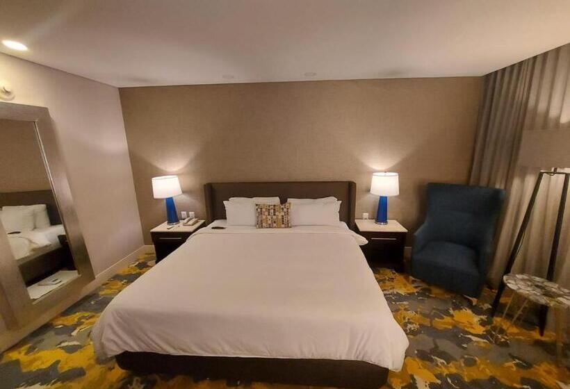 اتاق استاندارد با تخت بزرگ, Lucerna Hermosillo