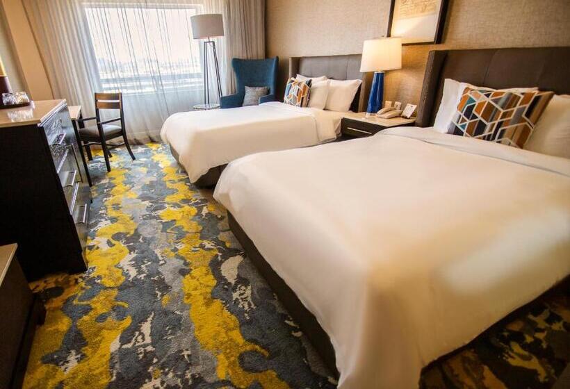 اتاق استاندارد, Lucerna Hermosillo
