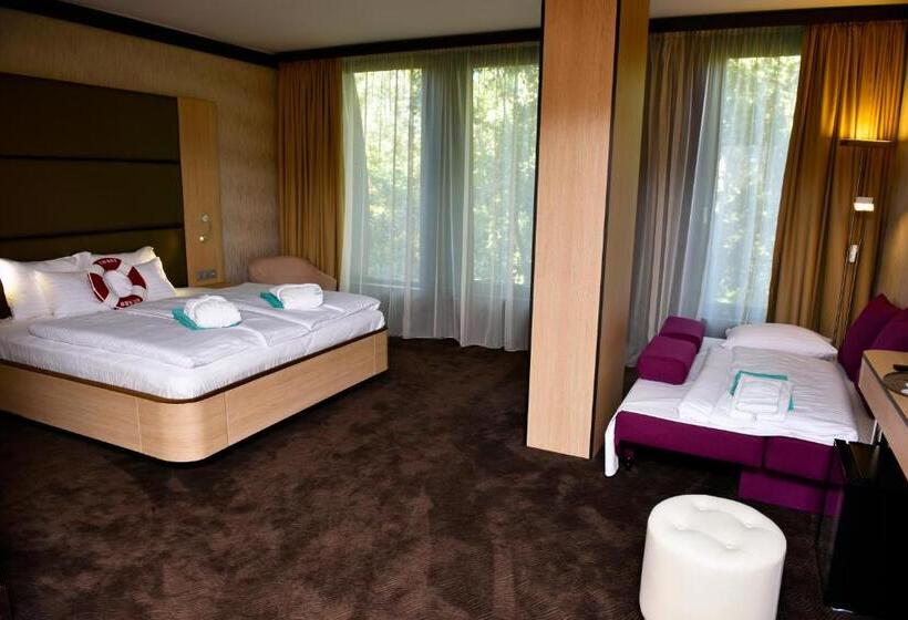 Номер Стандарт, Portobello Wellness & Yacht Hotel Esztergom