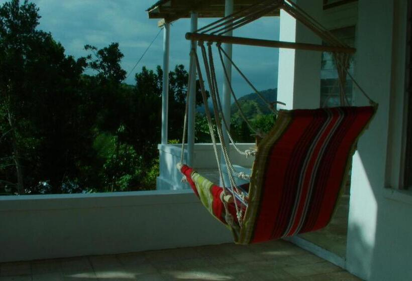 اتاق استاندارد, Kingsworth Bed And Breakfast