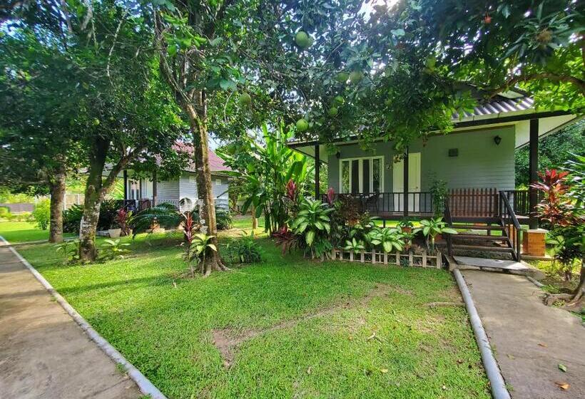 Бунгало Стандарт с Балконом, Bearlin Bungalow