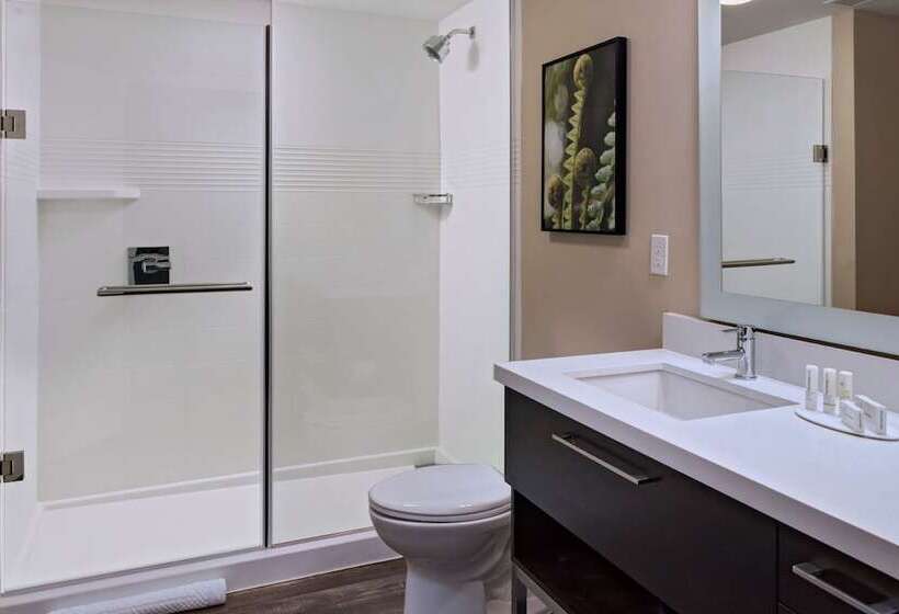 Люкс, Towneplace Suites By Marriott Tacoma Lakewood