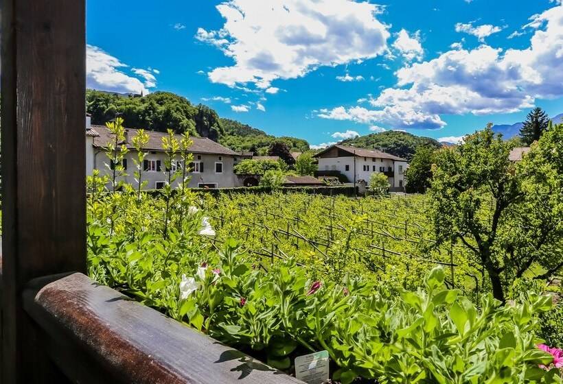 园景标准四人间, Garni Meinrad