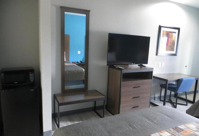 اتاق استاندارد, Haven Inn & Suites Willowbrook