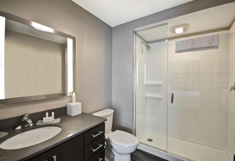 스탠다드 스튜디오 킹침대, Towneplace Suites By Marriott Cranbury South Brunswick