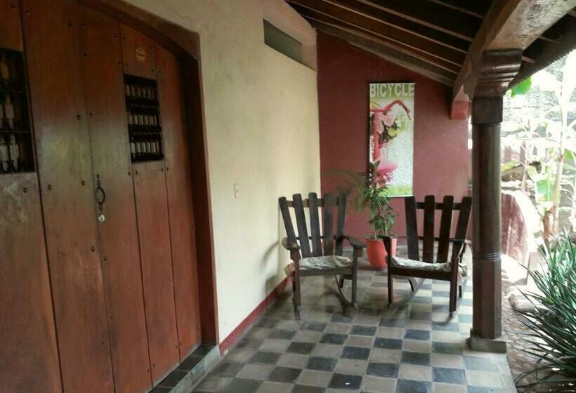 اتاق استاندارد با تخت بزرگ, Viavia Leon