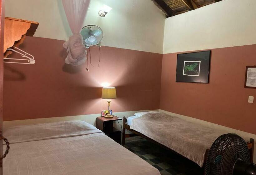 اتاق استاندارد با چشمانداز باغ, Viavia Leon