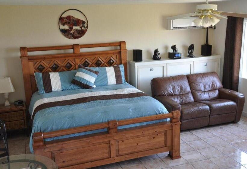 Студия Стандарт, The Arizona Lighthouse B&b
