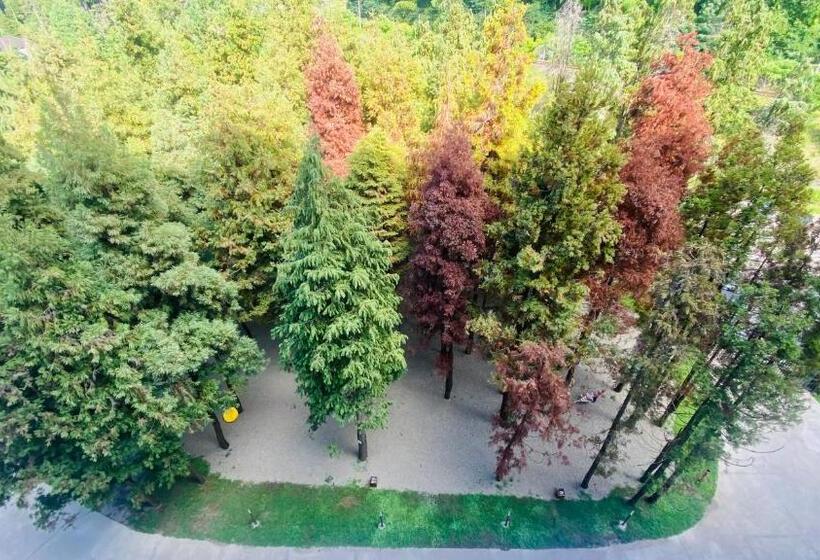 استودیو استاندارد با بالکن, Bamboo Beach Tsikhisdziri
