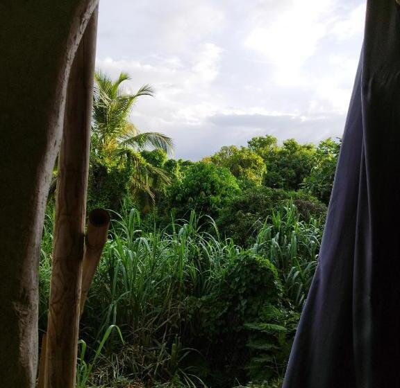 اتاق استاندارد با چشم‌انداز باغ, Tikazalou Eco Hostel