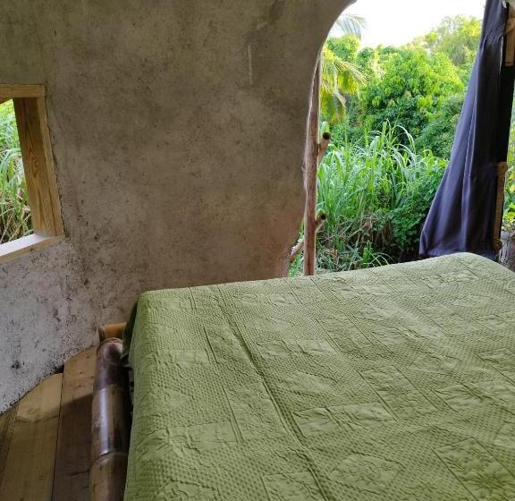 اتاق استاندارد با چشم‌انداز باغ, Tikazalou Eco Hostel