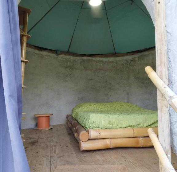اتاق استاندارد با چشم‌انداز باغ, Tikazalou Eco Hostel
