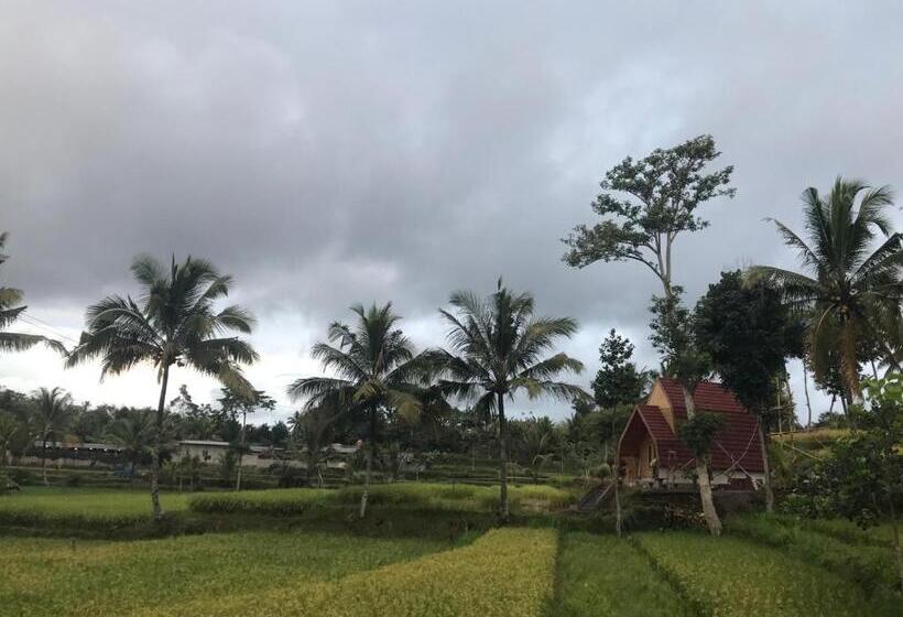 テラス付きスタンダードルーム, Bello Terrace Bungalow