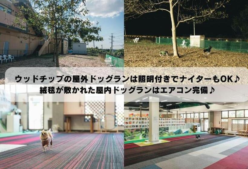 标准工作室, Swan Lake Nagae   Vacation Stay 32579v