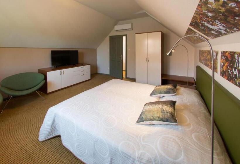 Люкс Superior, Villa Oliva Boutique Rooms & Spa Zamárdi
