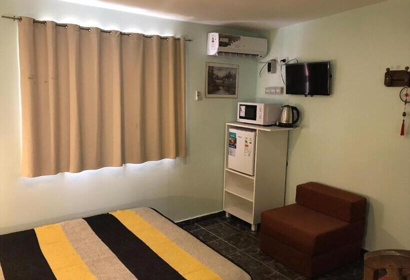 Номер Стандарт, Apart Eva Luna Departamentos Y Habitaciones Con Baño Privado
