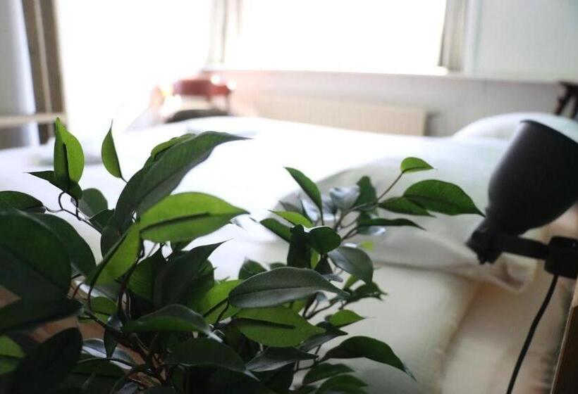 اتاق استاندارد با سرویس بهداشتی مشترک, Hostel Roots