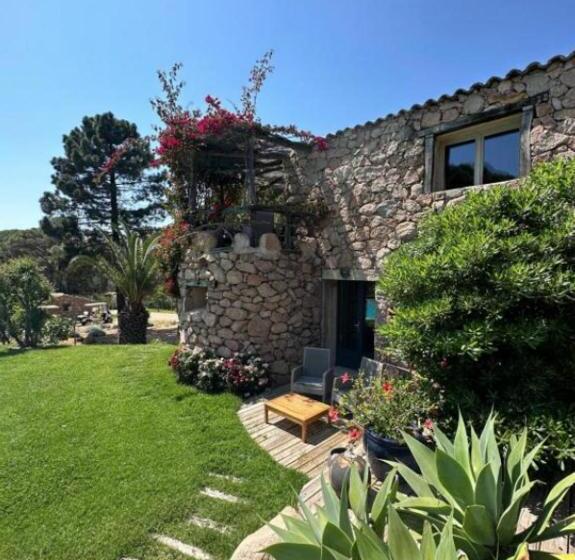 سوییت, Hôtel Ambassador Palombaggia