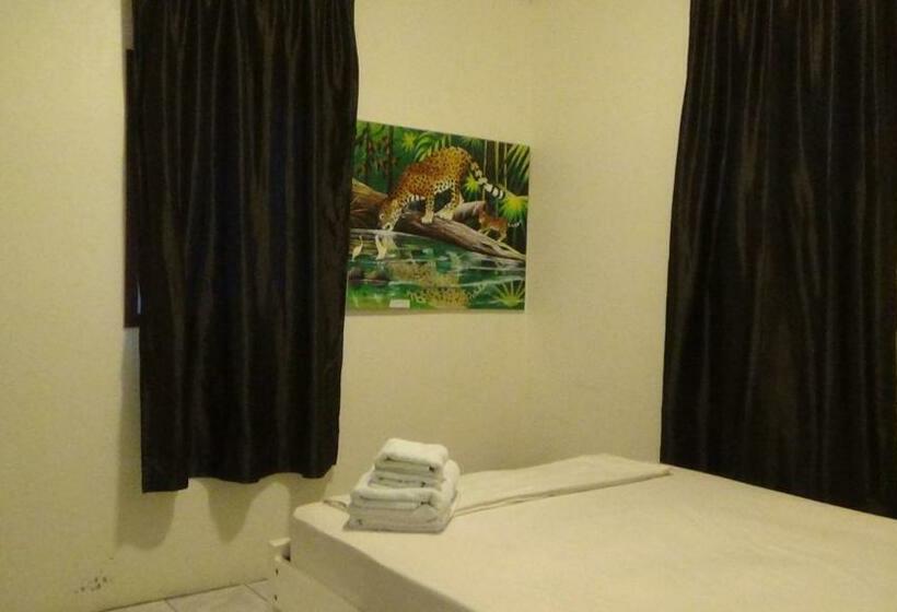 آپارتمان 1 خوابه, Hacienda Tropical Guest House