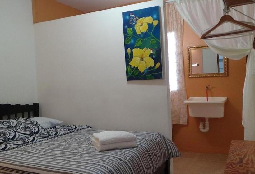 آپارتمان 1 خوابه همکف, Hacienda Tropical Guest House