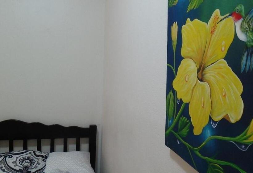 آپارتمان 1 خوابه همکف, Hacienda Tropical Guest House