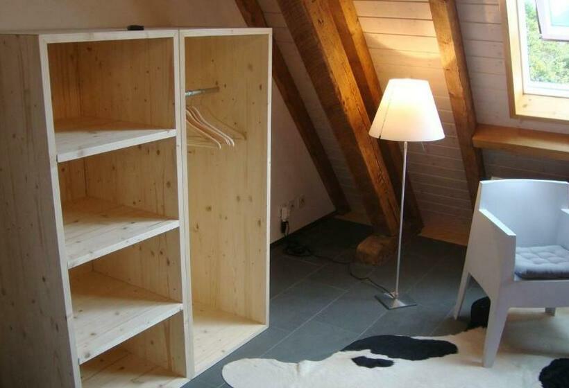 غرفة قياسية, B&b Laupenring, Basel