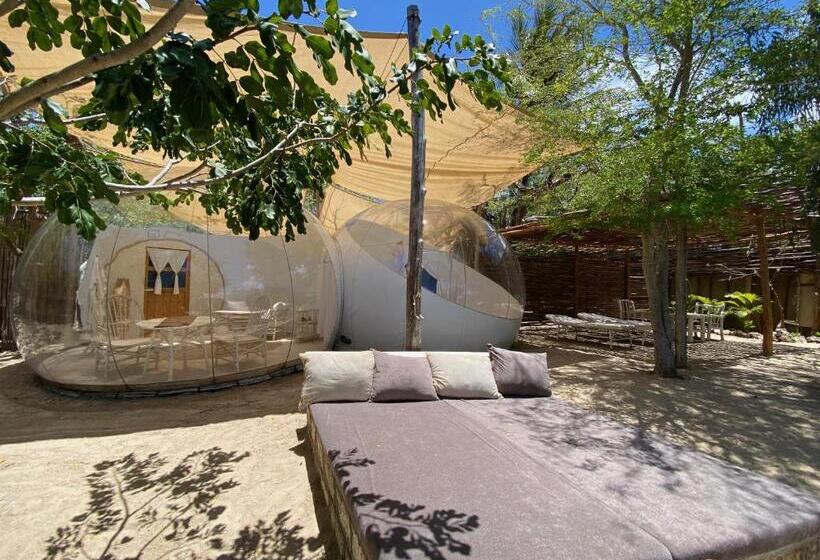 سوئیت با چشم‌انداز, Rock And Sea Resort