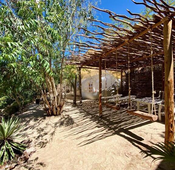 سوئیت با چشم‌انداز, Rock And Sea Resort