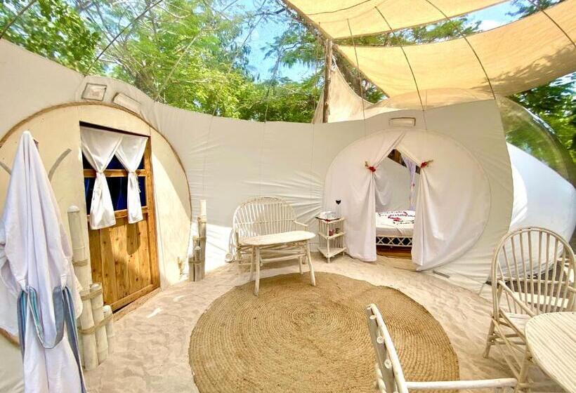 سوئیت با چشم‌انداز, Rock And Sea Resort