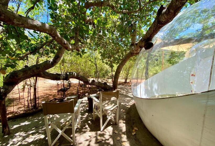 چادر با خدمات رفاهی استاندارد, Rock And Sea Resort